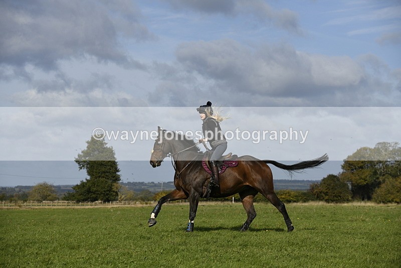 _DSC5768 - Time 10:49 to 11:23