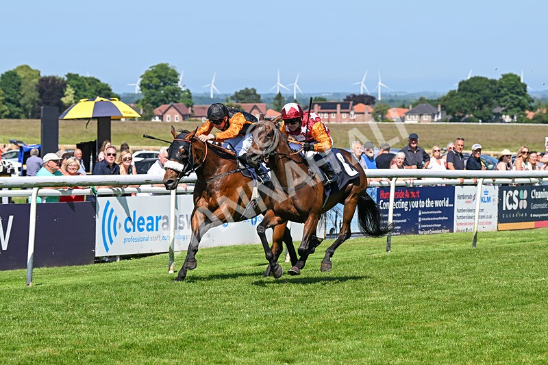 250624-Race 4-Lincoln Rockstar-5633 - Race 4