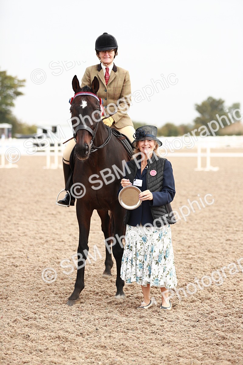 SBM_09449 - Class 202 Best Turned Out Ridden