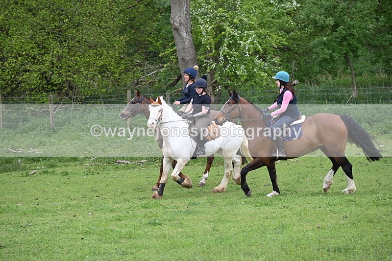 WJ6_3133 - A camera