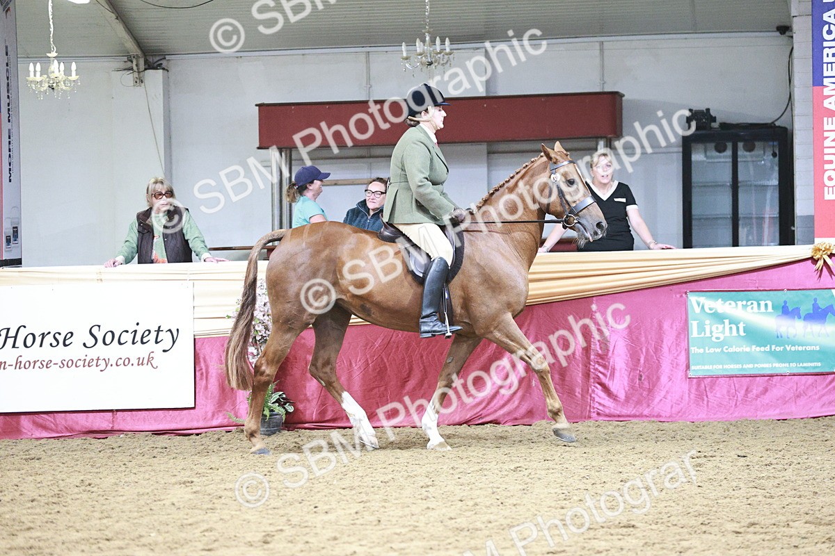 SBM_03401 - Class 6A Area Ridden Pre-Vet