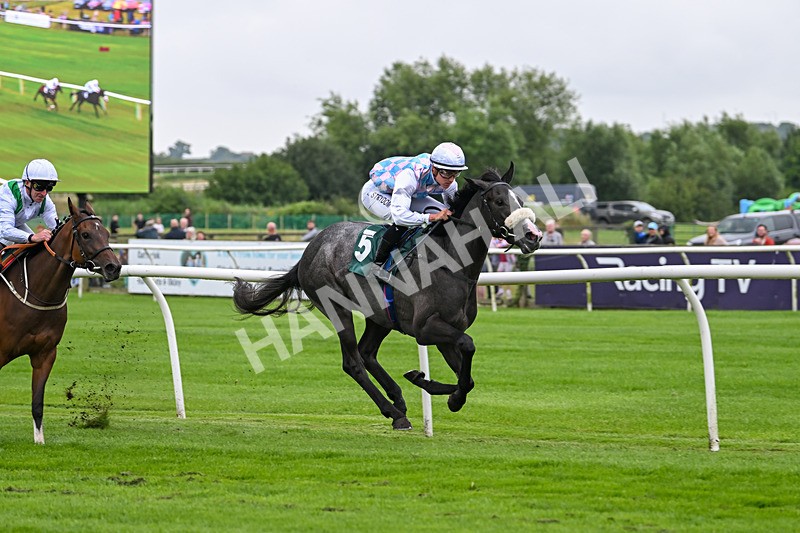 230725-Race 1-Tailgunner Joe-9612 - Race 1