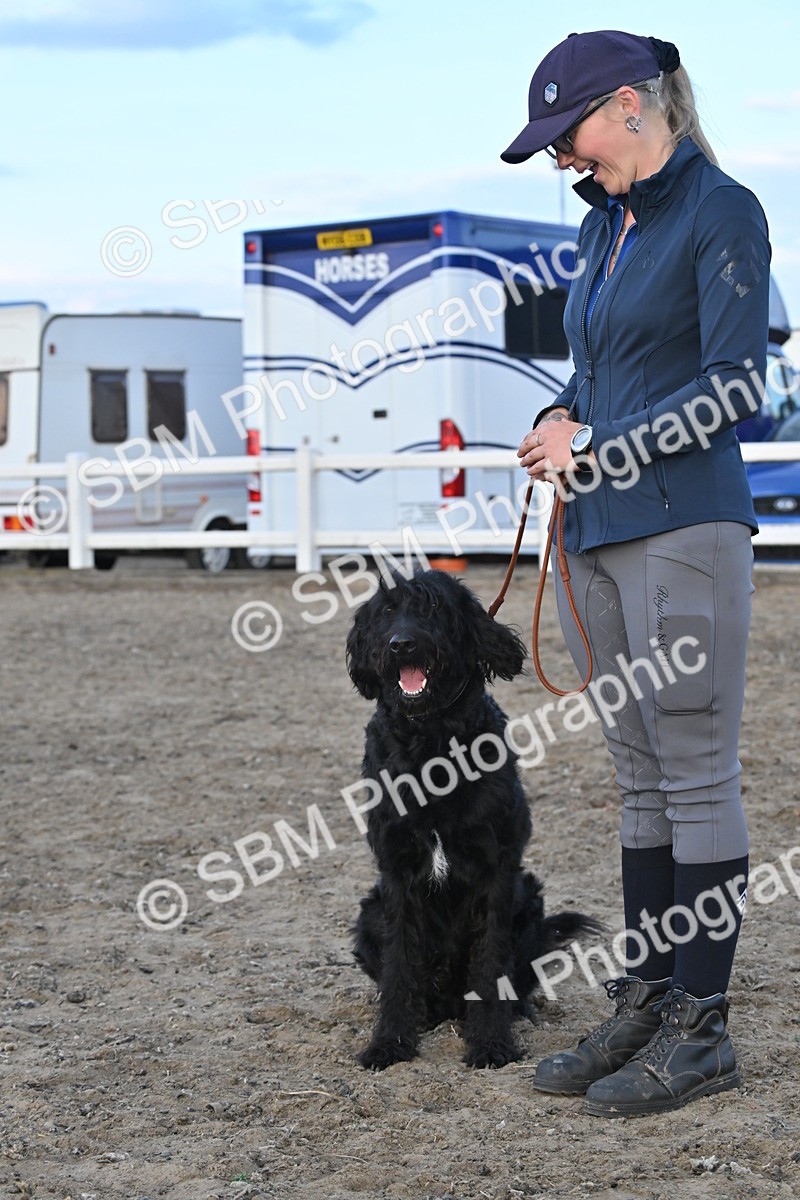 SBM_09605 - Lorry Dogs