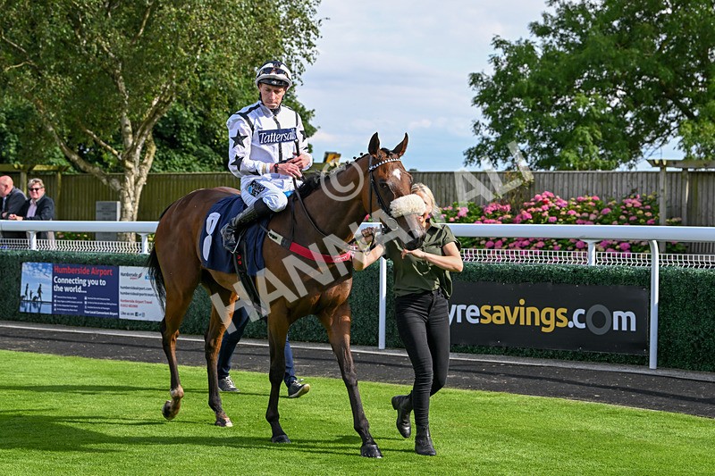 160724-Race 6-Blufferonthebus-9466 - Race 6