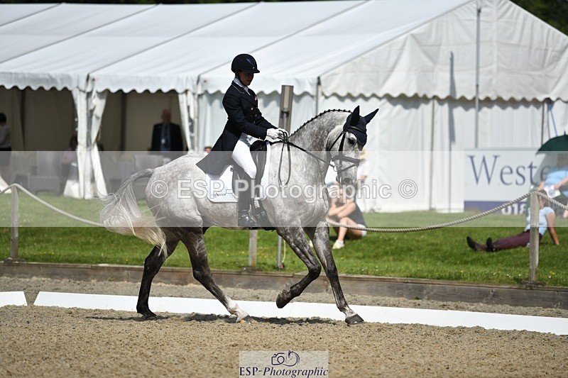 230525-105427-01817 - 316-D'ARTAGNAN-Tiana_Coudray-WEDTrotUp+DR