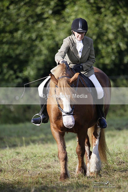 BVRC 120921 50 - Bourne Valley Riding Club UA Dressage & Show Jumping 12/09/21