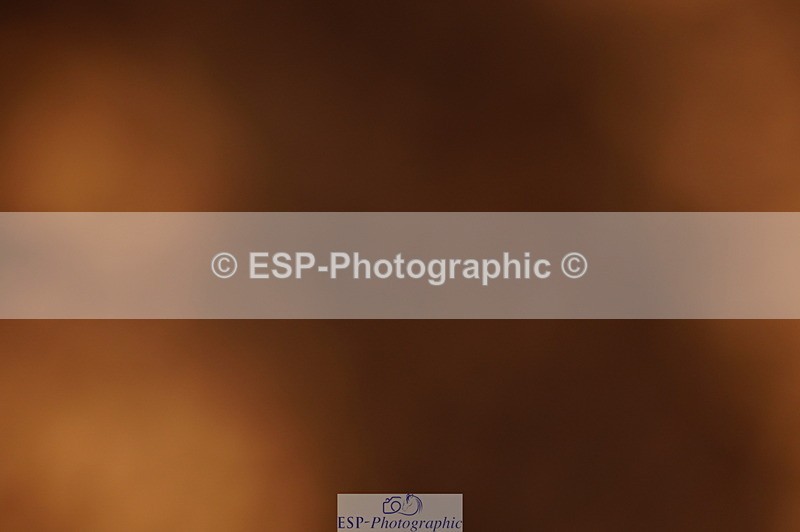 240628A-193924-01079 - Cls 4 1.10m Open