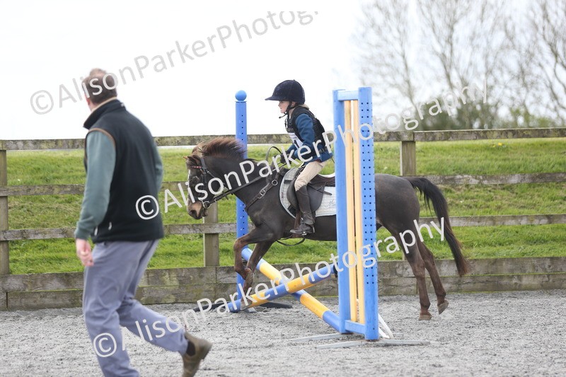 20260412-0567 - Show Jumping