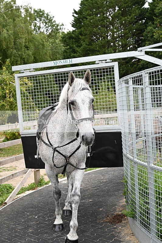 WJ6_2944 - Berks & Bucks - The Old farmhouse - Hound Exercise 20-08-25