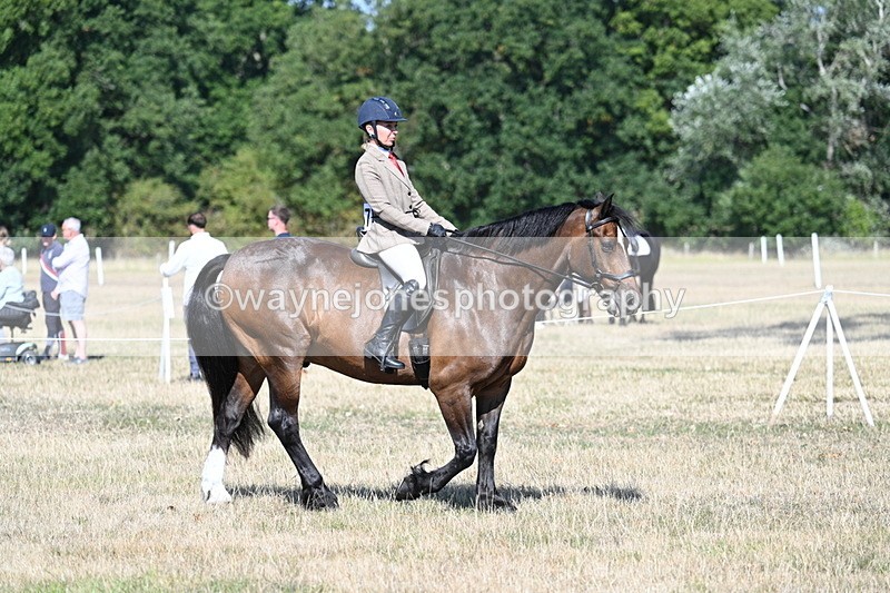WJ7_3418 - Class 9 Mountain & Moorland Ridden