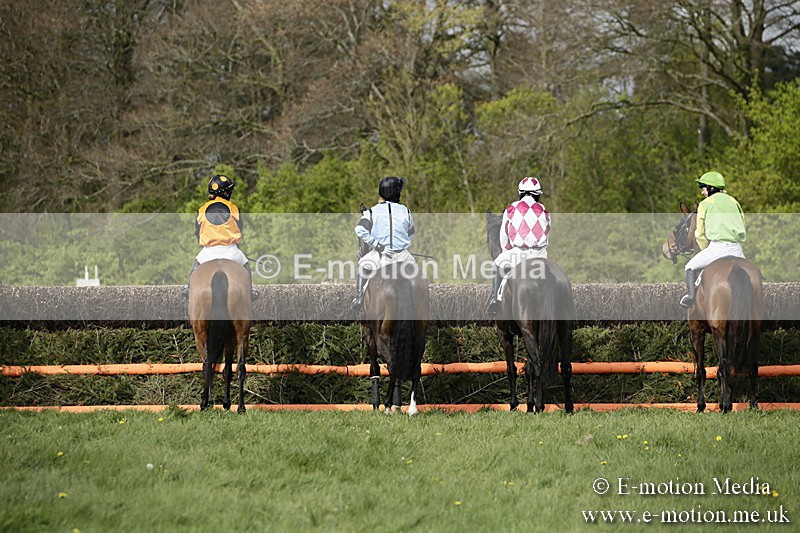PtP 170417 264 - Old Berks Point-to-Point Lockinge 17/04/17