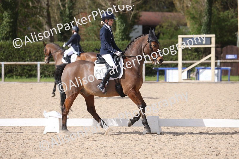 20260405-0920 - Pony FEI