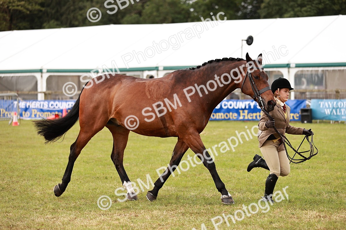 SBM_10887 - Class 81-84 - RIHS Ridden hunters Inc Ladies Hunter