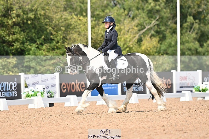 250816-132442-04688 - 114-Stacey.DonnisonPaddy.XIII