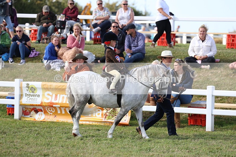 3E7A3778 - Supreme Championship