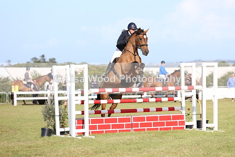 3E7A4345 - Class C: Showjumping Senior Foxhunter