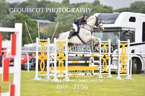 BPP_3136 - CLASS 2 SENIOR FOX/1.20M OPEN