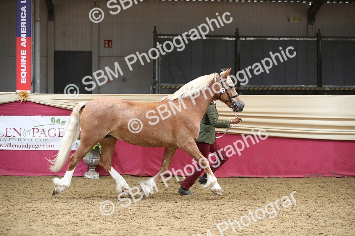 SBM_05284 - Class 8R - Regional IH Veteran