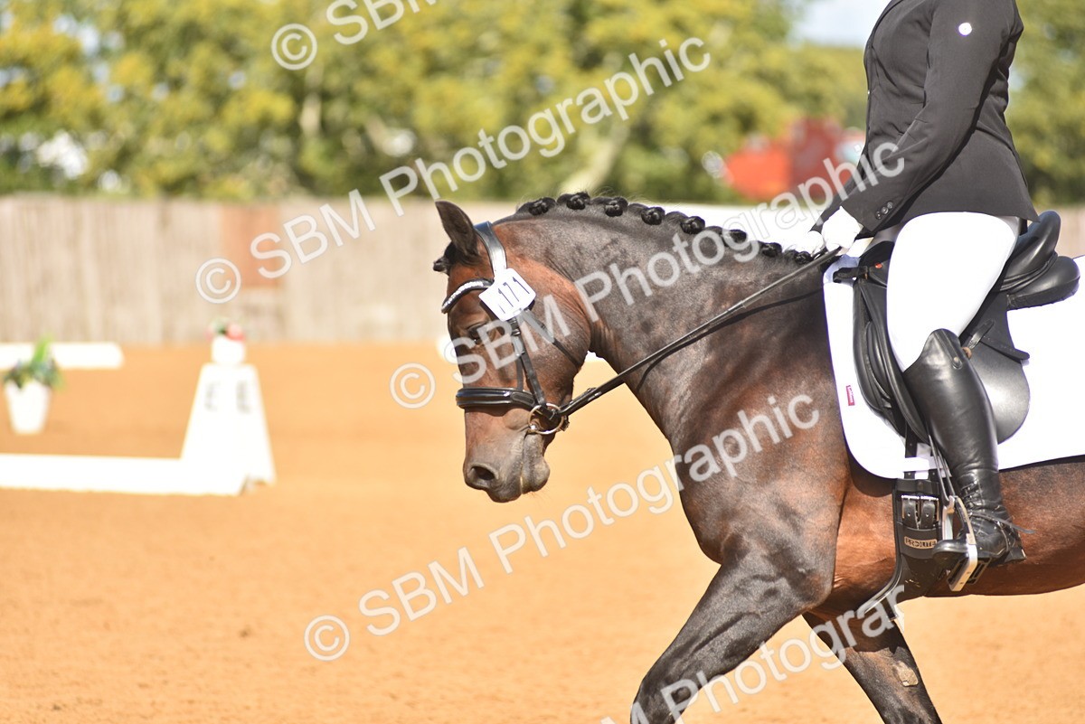 SBM_05507 - D15 - Small Tour Championship Novice 1
