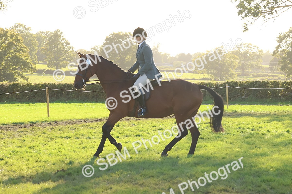 SBM_53012 - S29 - Mature Veteran Ridden