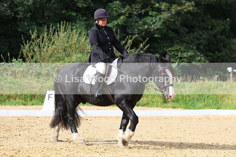 3E7A2331 - Class 1: Intro 4 2024 section A