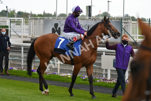 yr14052021r6-6 - Race 6 4.15pm Yorkshire Equine Practice Stakes