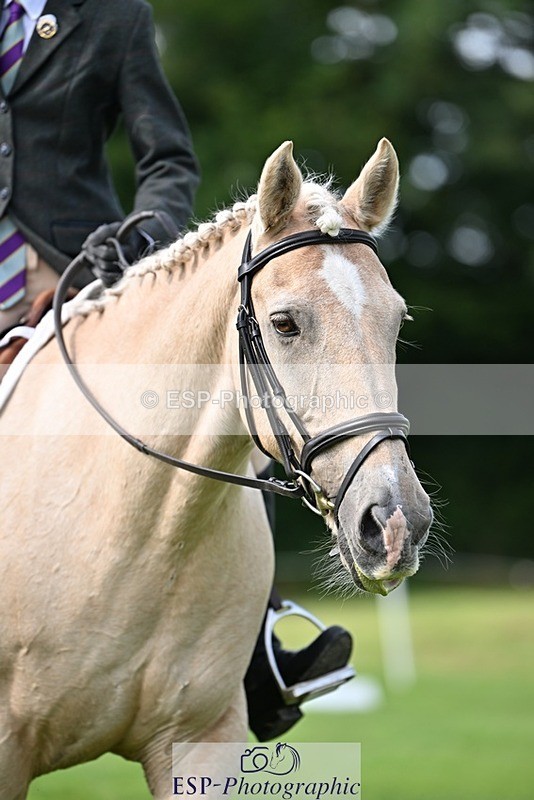 230826-103925-16618 - Sections A & B 10 to End