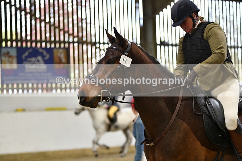 WJ5_7933 - Class 13 Ridden Part Breed