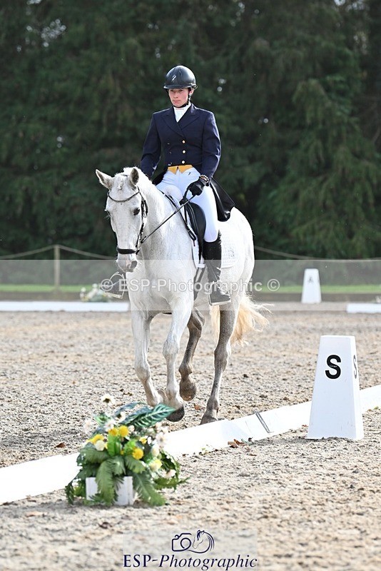 231019-144457-04592 - 126-DERRYS.LADY.LOU-Debbie.Townsend-DR