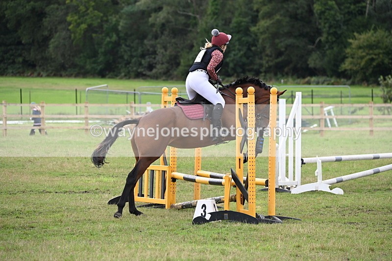 WJ6_1334 - 60cm Time 11:51 to 12:10