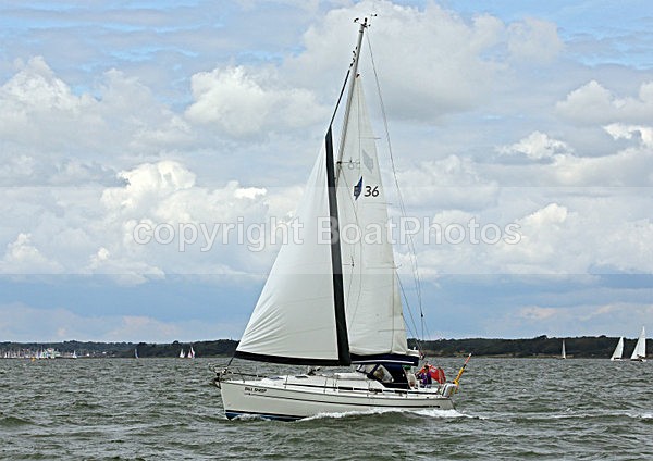 120715 TALL SHEEP WT7A6180 - Sailboats - monohull