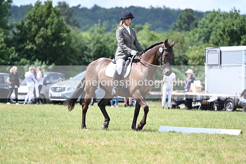 WJ7_4860 - Time 11:22 to 11:51