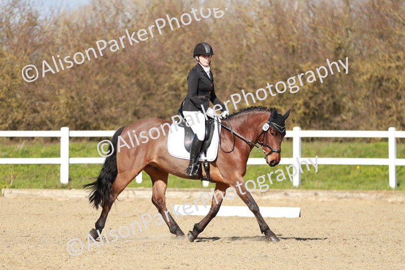 20260314-3081 - DR3 - Prelim 1