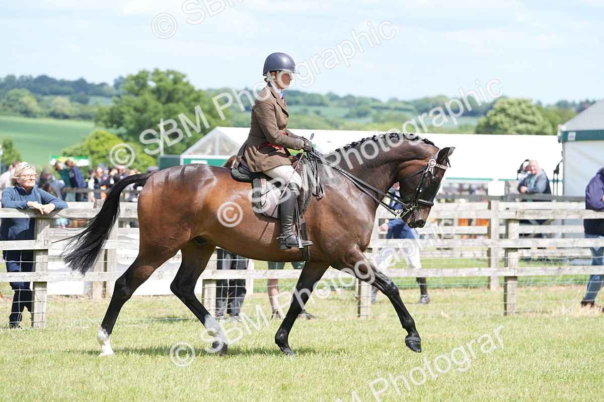 SBM_16281 - Class 105-106 - RIHS Riding Horses