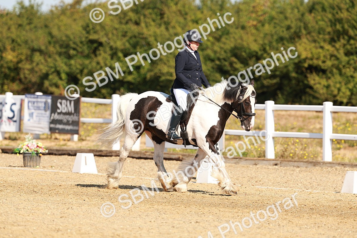 SBM_016761 - Class 9 - N5 Bronze 9.30.10.19