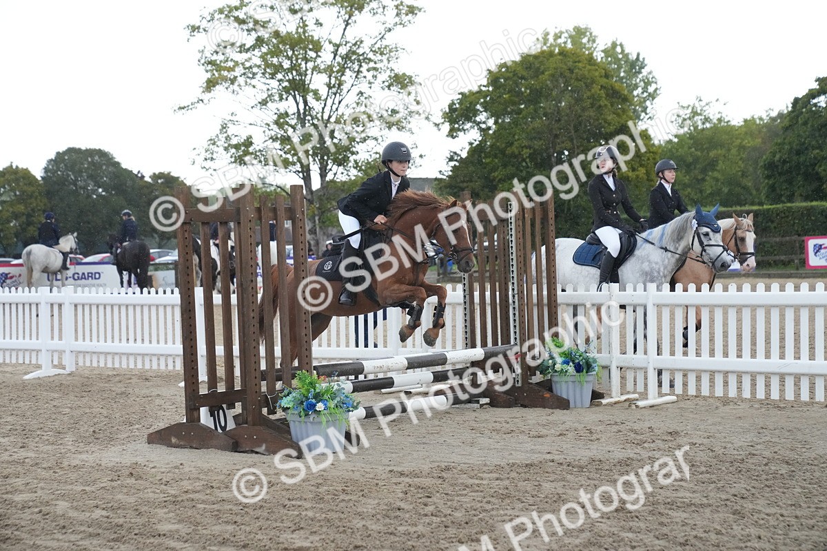 SBM_01566 - J54 - Clear Round 50cm