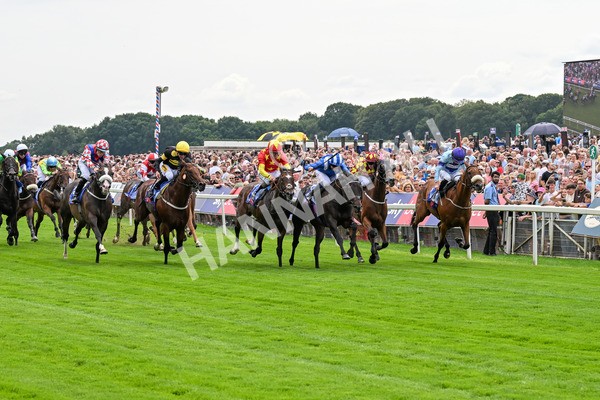 260725-Race 2-Elmonjed-0318 - Race 2 2.00pm Sky Bet Dash Handicap