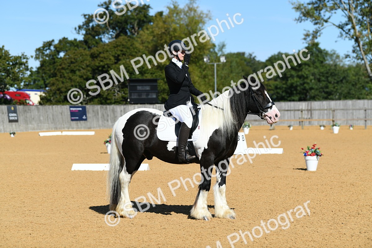 SBM_18232 - D4 - Small Tour Championship - Intro B