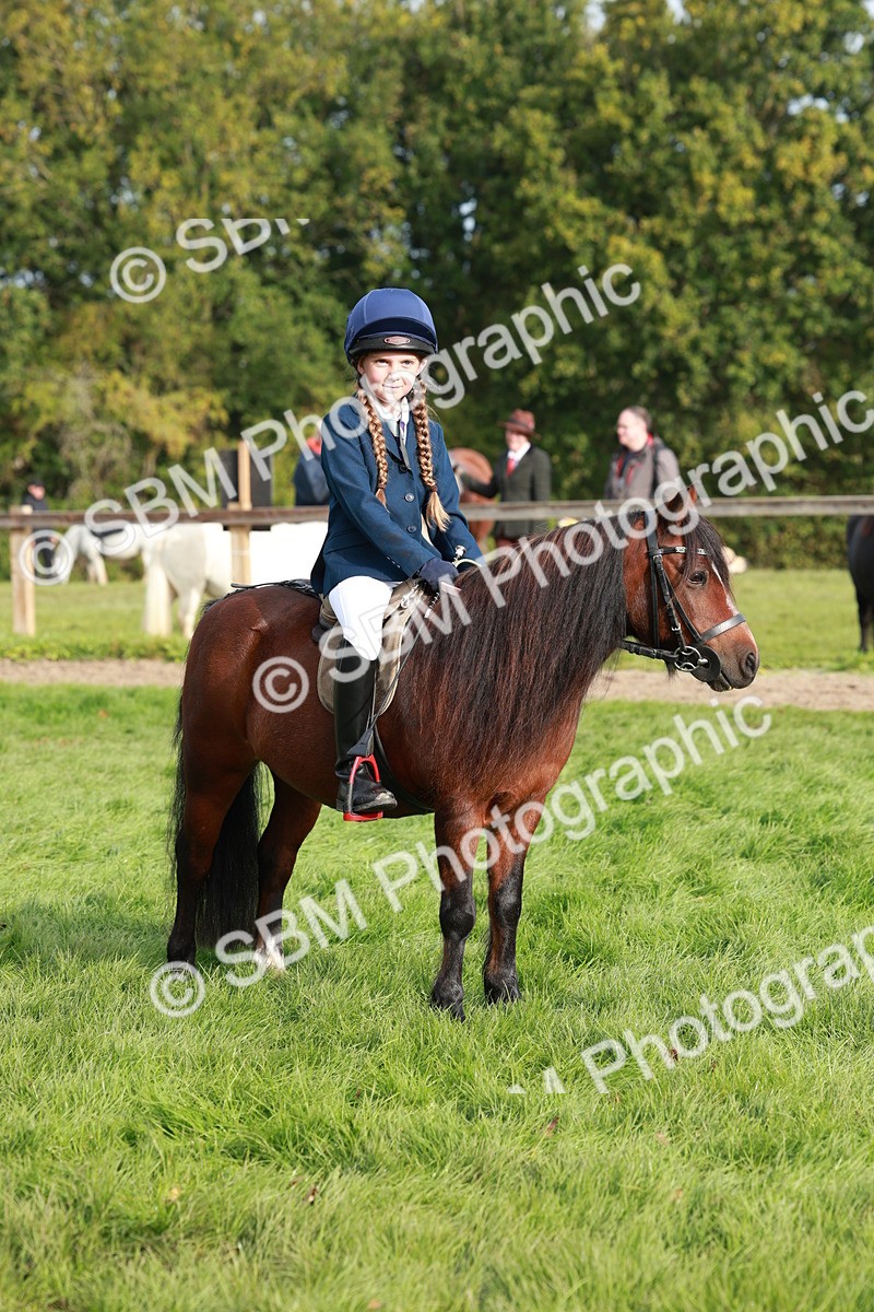 SBM_56431 - S39 - Starters In Hand Showing