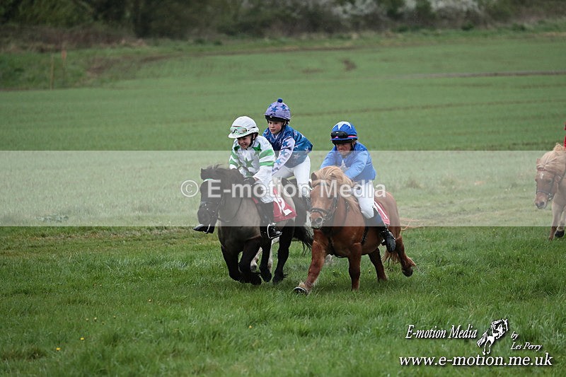 SHETPR 210425 173 - Shetland Ponies Paxford Races 21/04/25