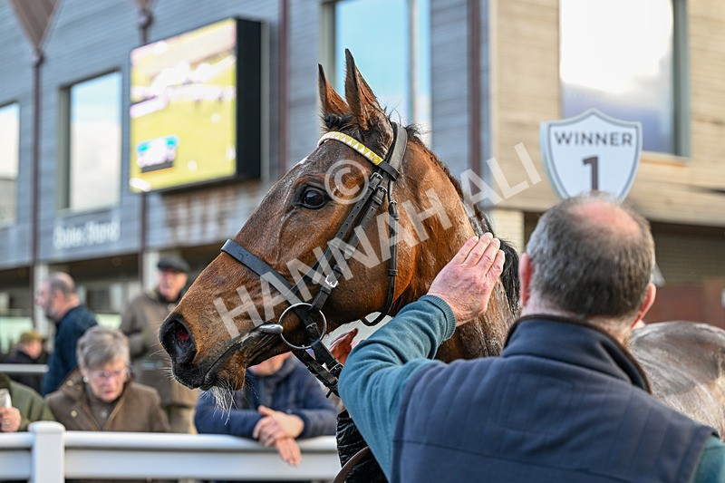 240226-Race 5-Chasingouttheblues-7333 - Race 5