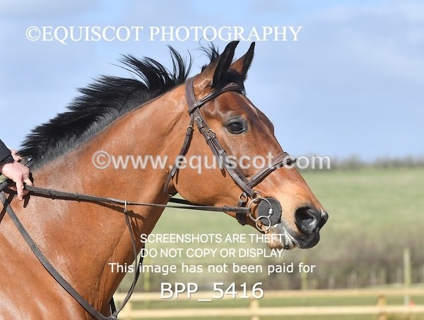 BPP_5416 - CLASS 5 0.95m Amateur Championship Qualifier
