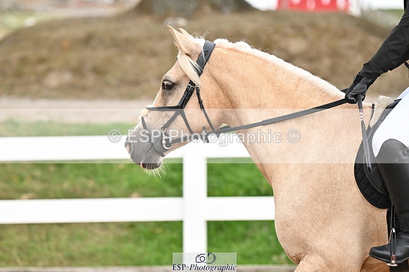 250819B-151939-00229 - 60cm