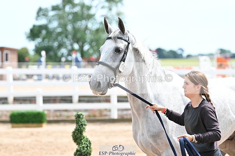 240717A-144351-02247 - Trot Up 2pm to 3pm - This folder is not in time order