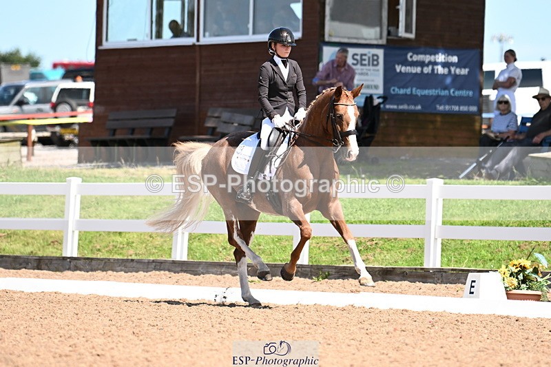 240816A-132000-05024 - 113-Ruby.Gumbley-Nova's.Golden.Dream