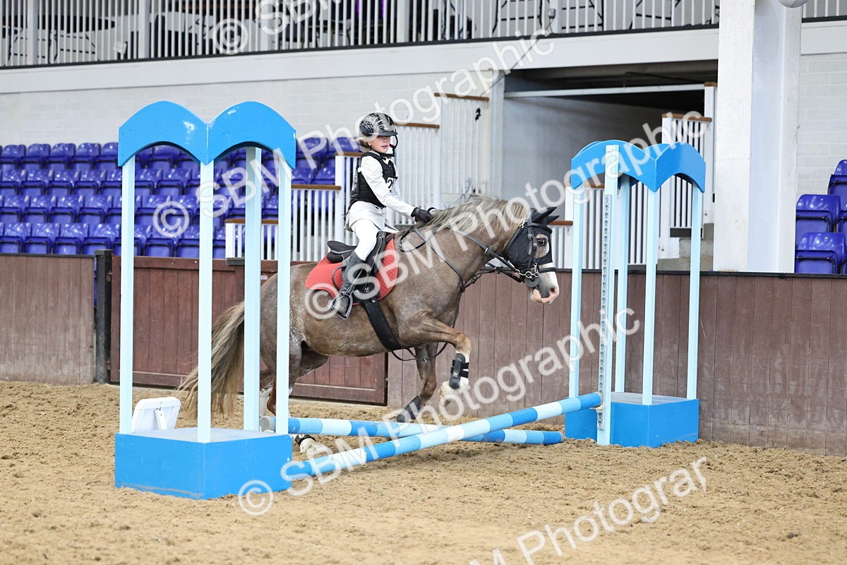 SBM_007008 - Class 1 - 40cm showjumping