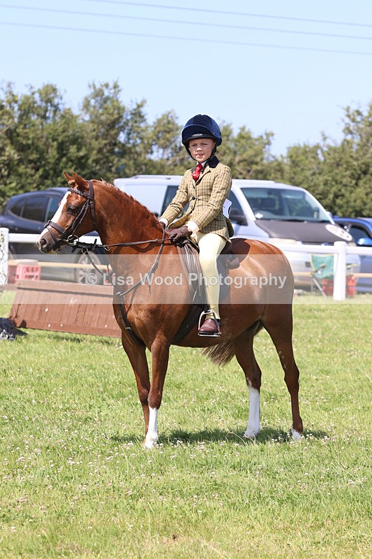 JPP_2739 - Class 21: Working Hunter 60cm