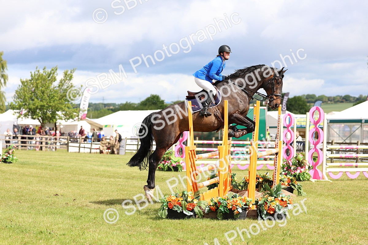 SBM_13376 - Class 206 - Senior Newcomers - 1.10m Open