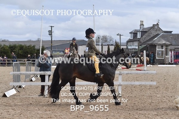 BPP_9655 - 50CM