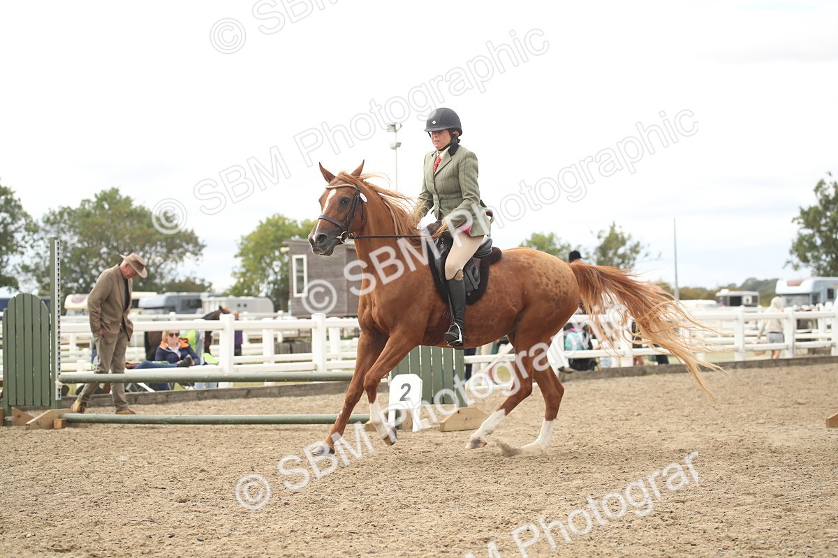 SBM_16758 - Class 507b - Working Veteran 60cm (20+)